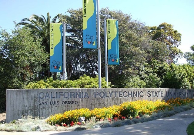Flags at California Blvd Entrance