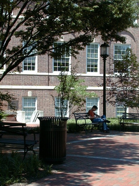 Bench and Trash
