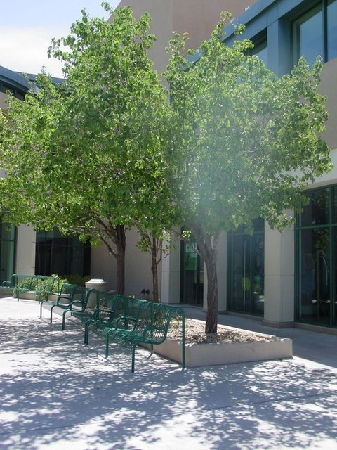 Corbett Center Entrance