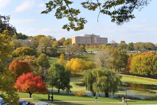 Kansas University